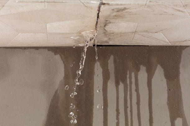 Professional Water Damage Repair technician working in Lone Oak, TN